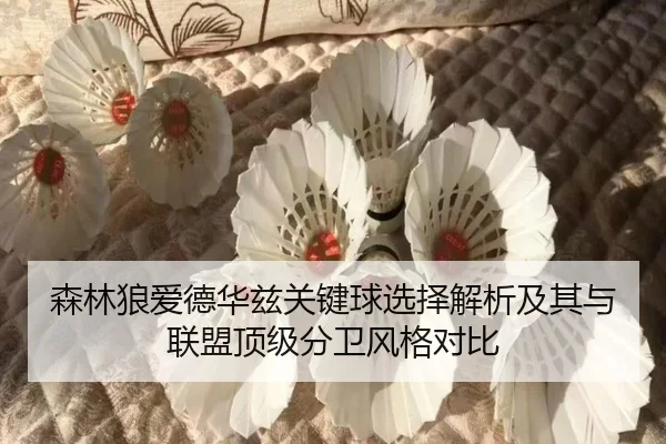森林狼爱德华兹关键球选择解析及其与联盟顶级分卫风格对比
